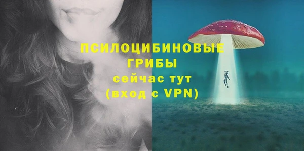 метадон Богородск