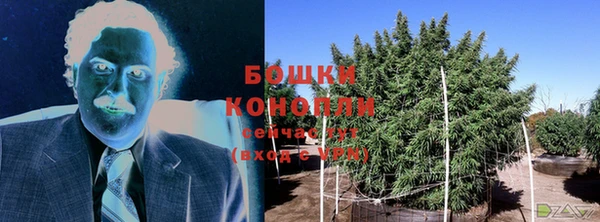 spice Белокуриха