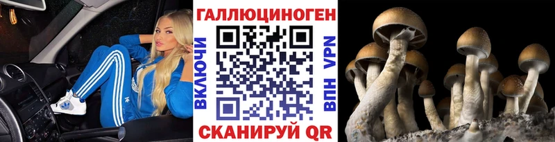 Галлюциногенные грибы мицелий  Очёр 